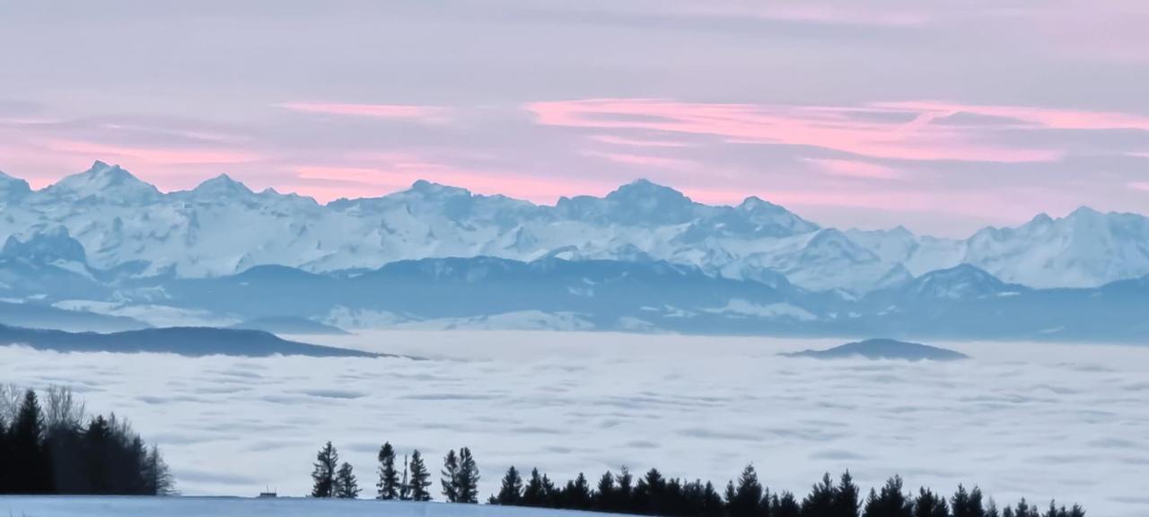Bio- Und Wellnesshotel Alpenblick Höchenschwand Zewnętrze zdjęcie