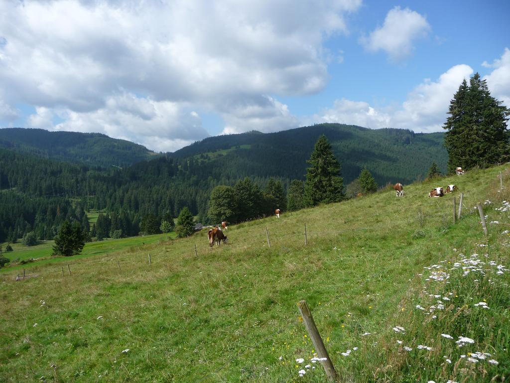 Bio- Und Wellnesshotel Alpenblick Höchenschwand Zewnętrze zdjęcie
