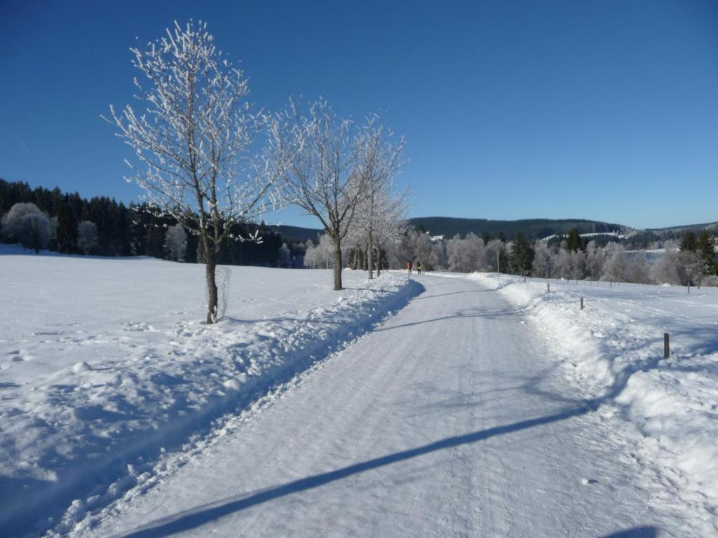 Bio- Und Wellnesshotel Alpenblick Höchenschwand Zewnętrze zdjęcie