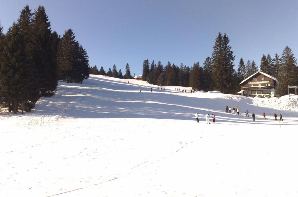 Bio- Und Wellnesshotel Alpenblick Höchenschwand Zewnętrze zdjęcie