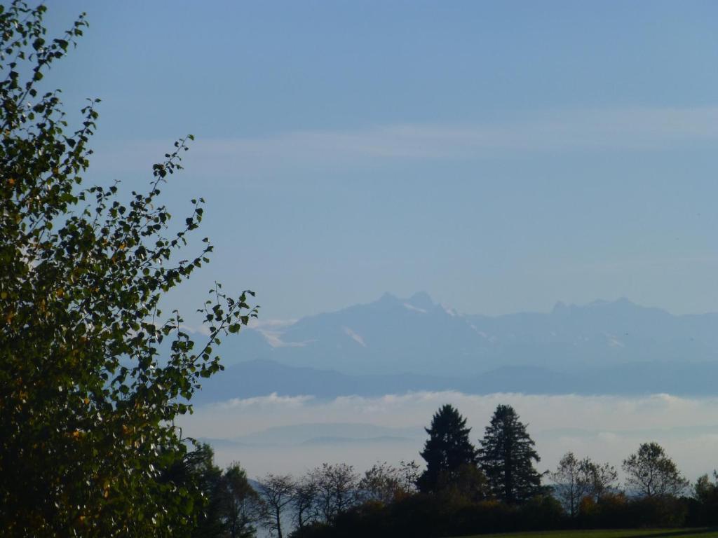 Bio- Und Wellnesshotel Alpenblick Höchenschwand Zewnętrze zdjęcie