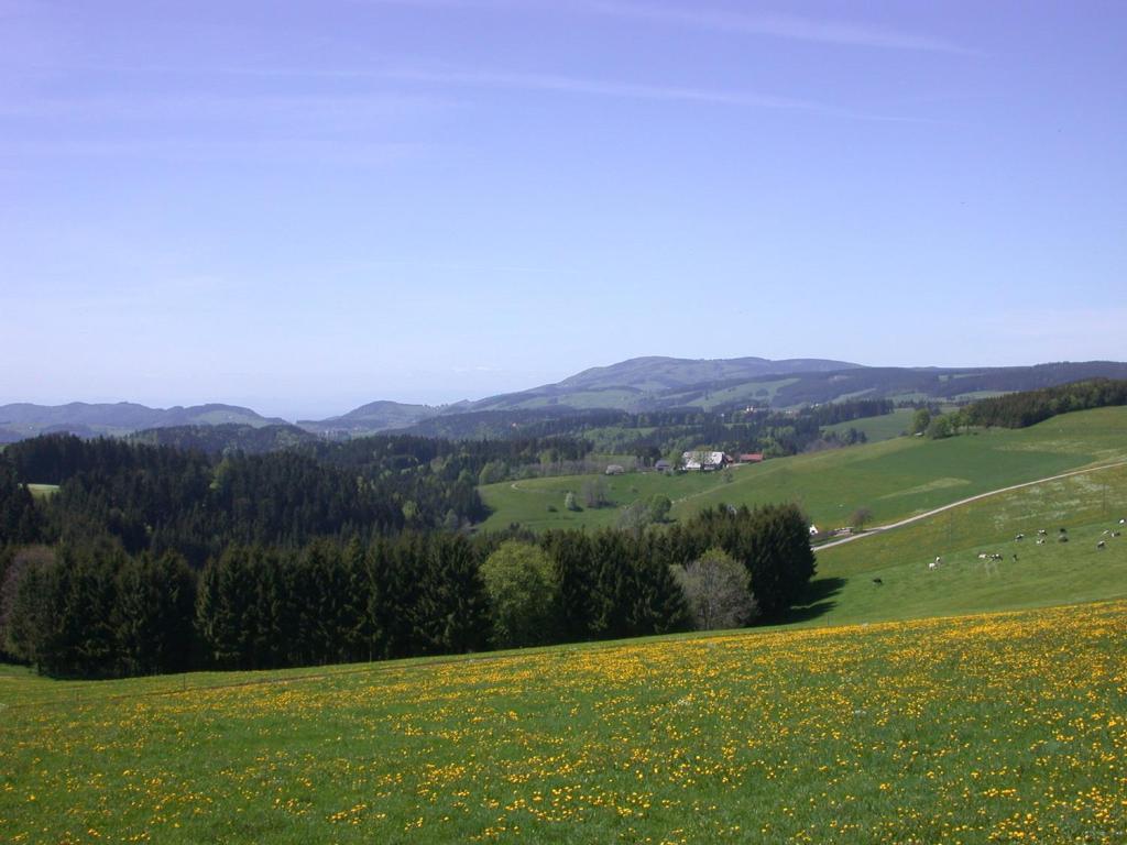 Bio- Und Wellnesshotel Alpenblick Höchenschwand Zewnętrze zdjęcie